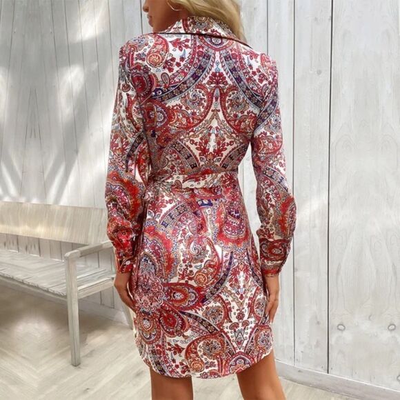 Collared All Over Print Tie-Waist Wrap Dress - Picture 7 of 10